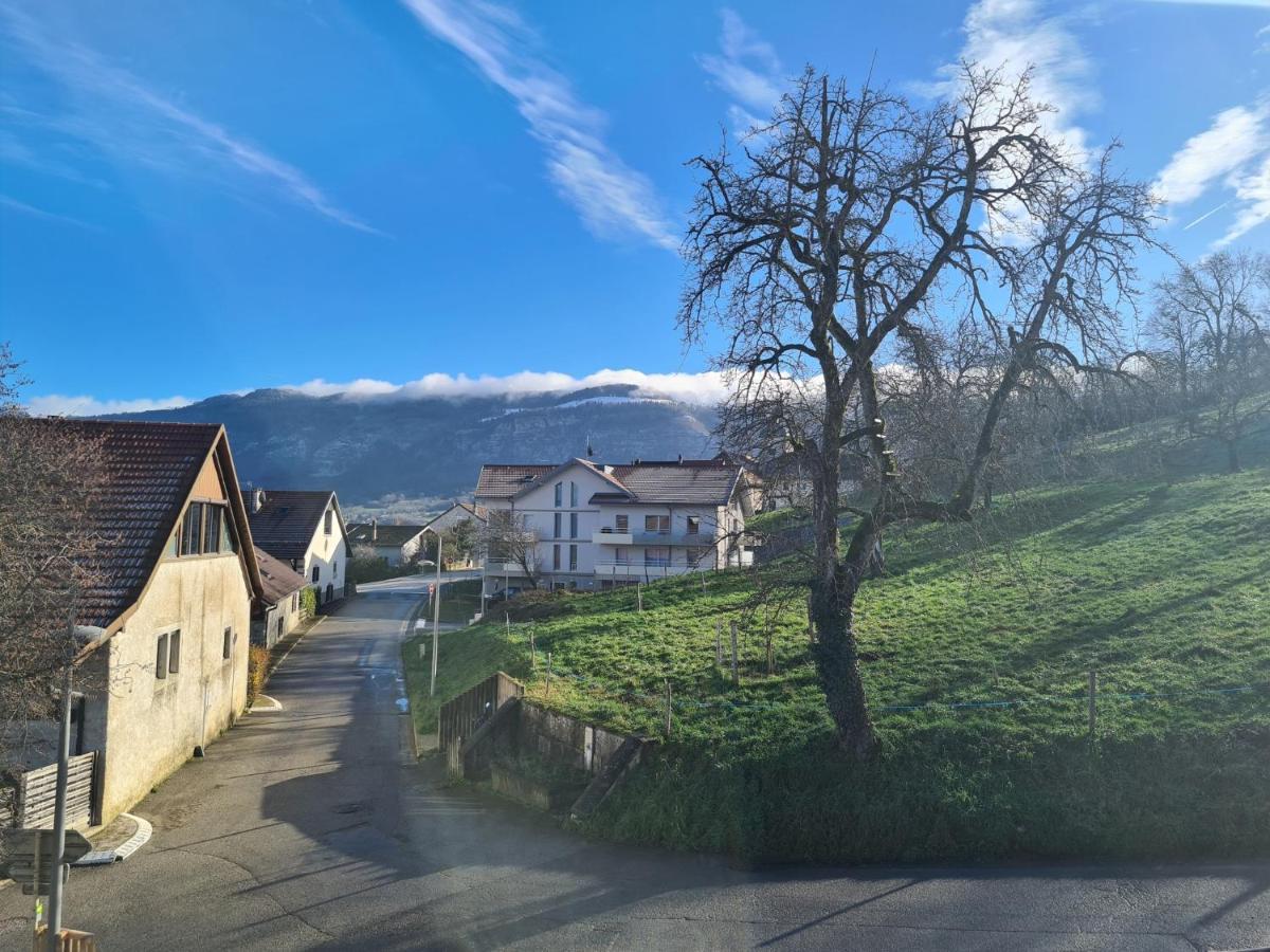 Appartamento Ferme de la Gibussière Presilly  Esterno foto